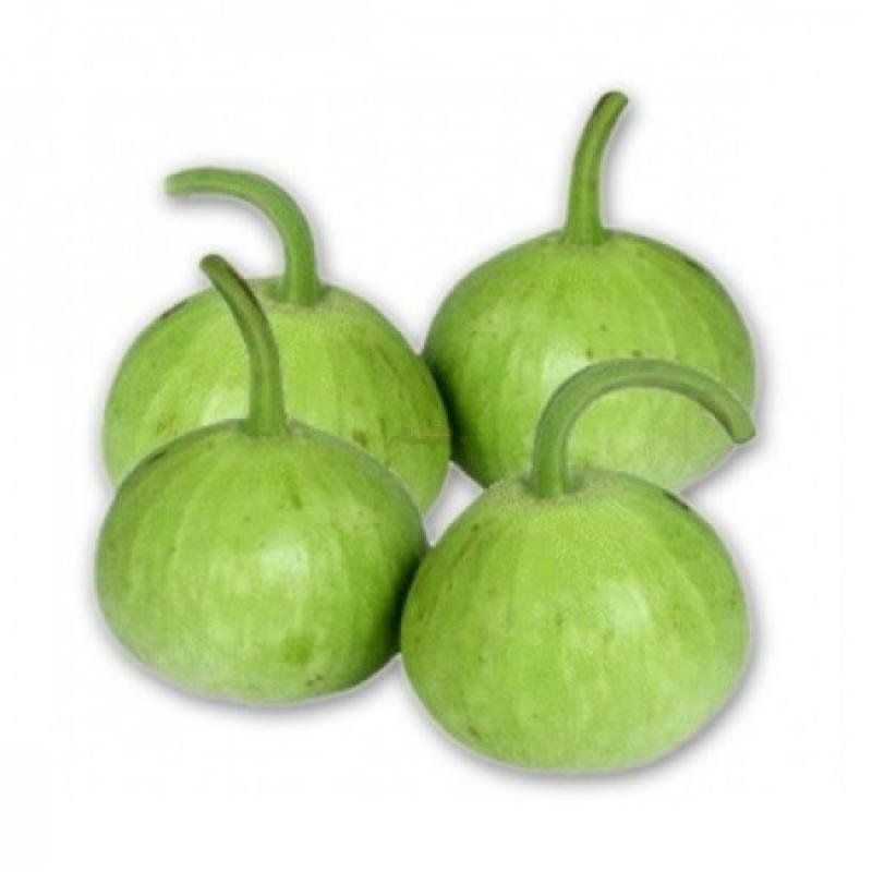 Lauki round