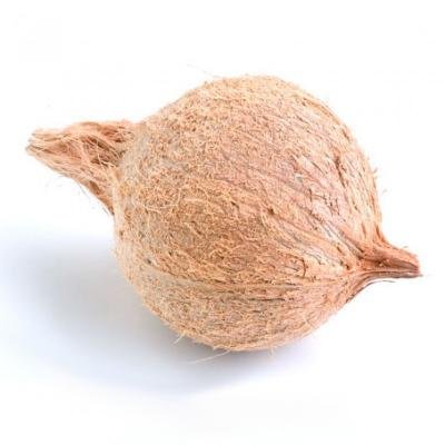 Coconut for puja
