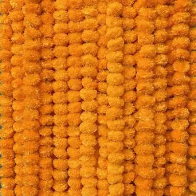 Decoar garland orange