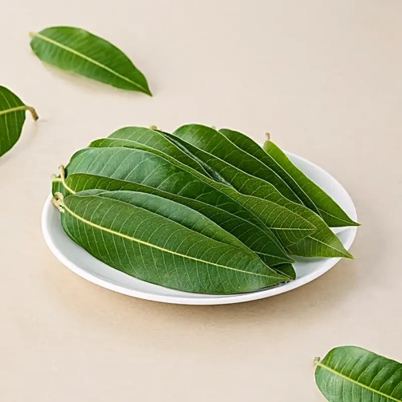 Mango leaves
